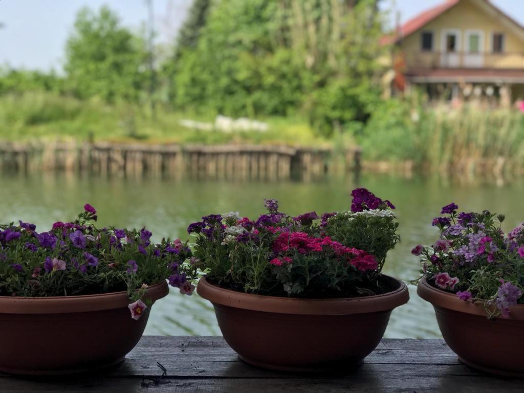 Agva Sweet Home River Hotel Buitenkant foto